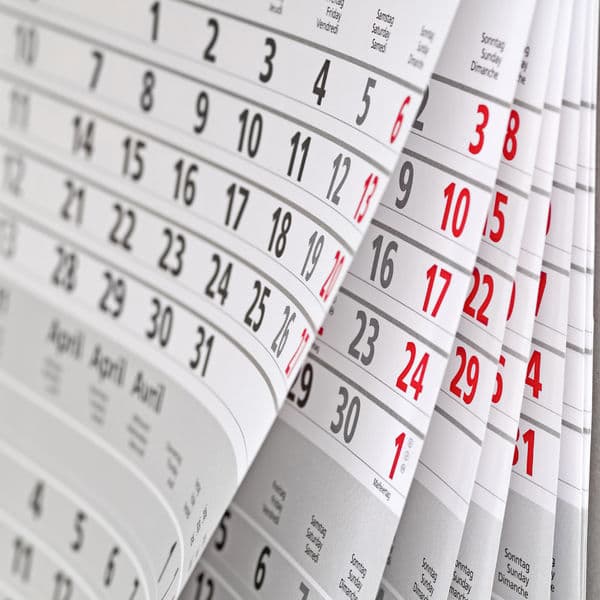 Obowiązki dyrektora biblioteki publicznej w styczniu