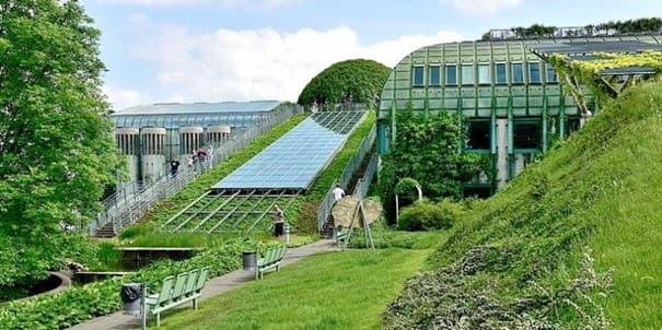 zielona biblioteka - BUW