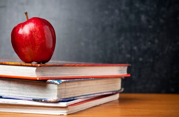 Literatura Young Adult – łącznik między literackim światem młodzieży a światem osób dorosłych