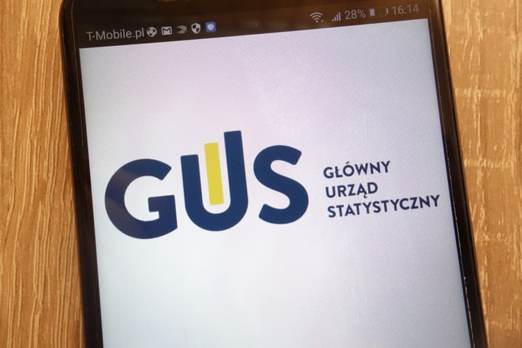 Do 6 lutego 2026 r. dyrektor biblioteki publicznej składa sprawozdanie K-03 za 2025 rok – instrukcja wypełniania